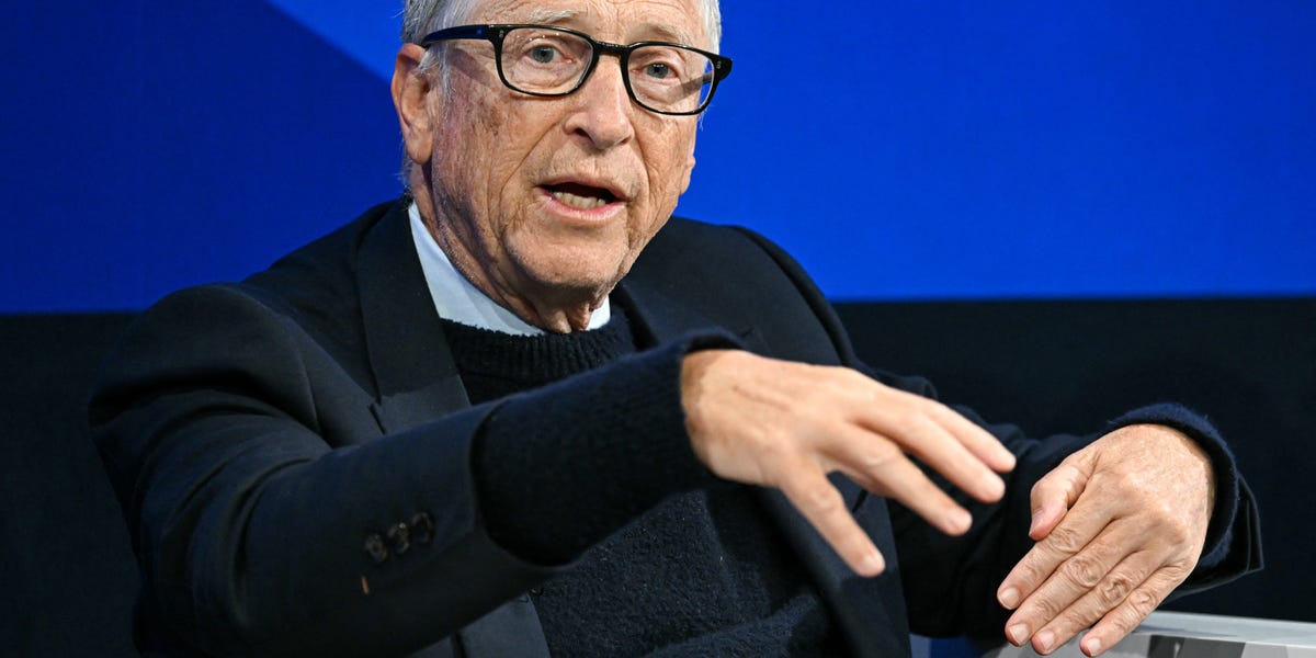 Bill Gates predicts 20 years of turmoil before AI creates 'true abundance'